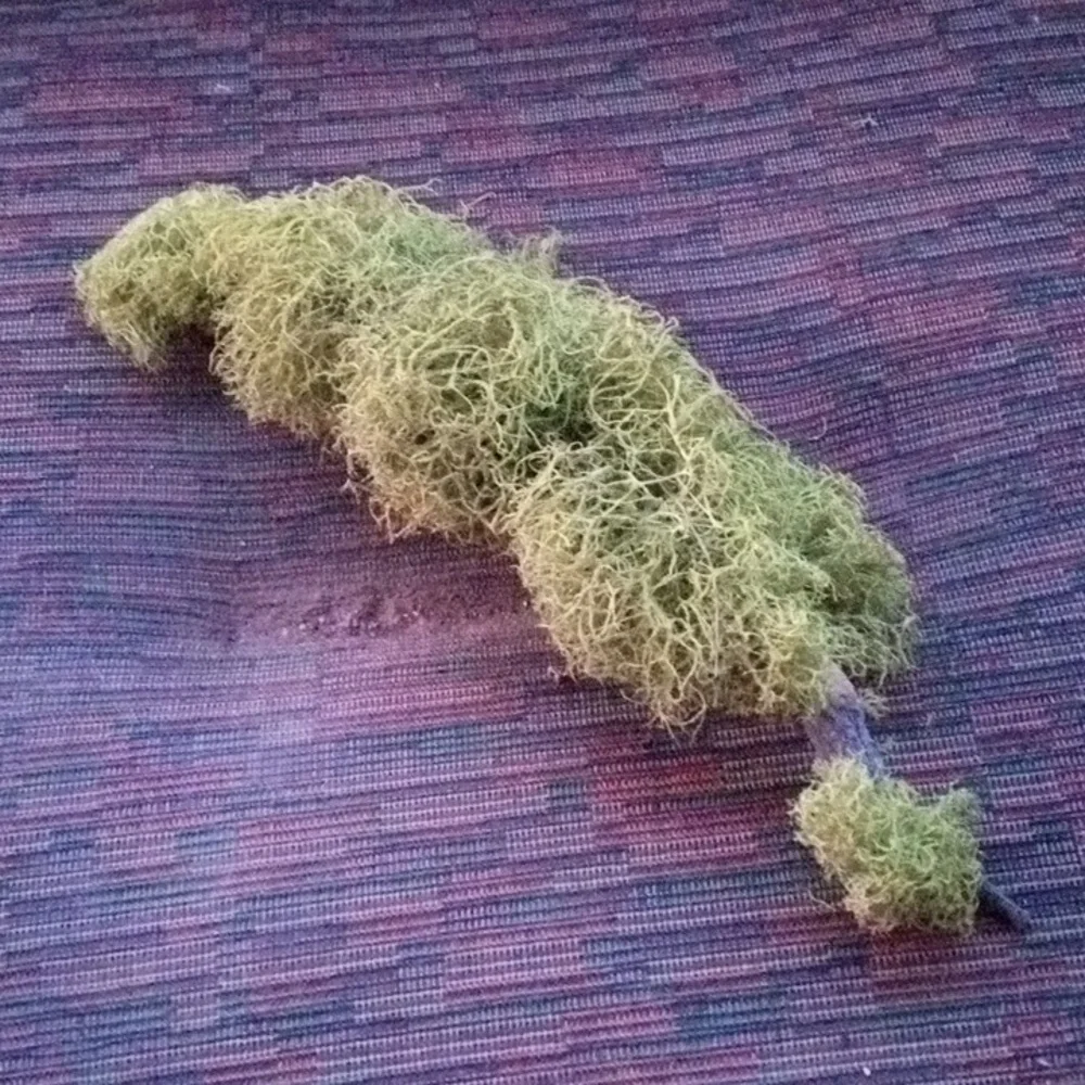 New! Never Used! Moss Branches. 11 Inches Long
